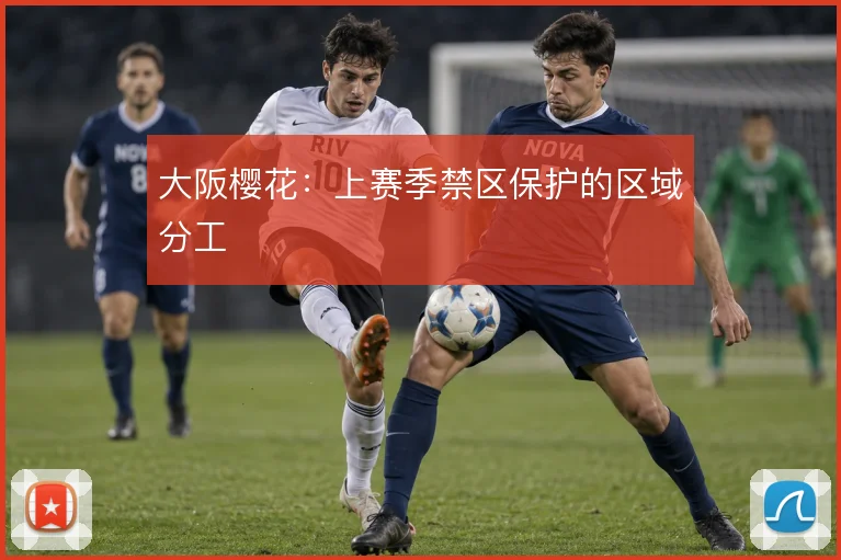 大阪樱花：上赛季禁区保护的区域分工