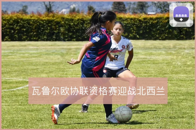 瓦鲁尔欧协联资格赛迎战北西兰